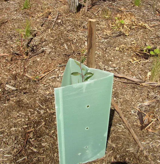 Corrugated Corflute Tree Guards 3mm Polypropylene Tree Guards