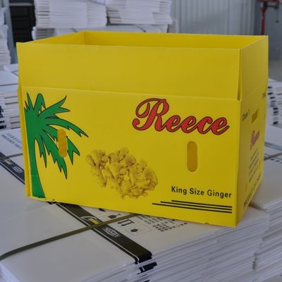 Vegetable Corrugated Plastic Packaging Coroplast Reusable Corrugated Boxes