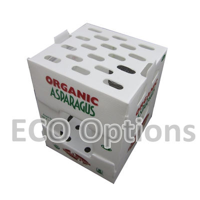 Recycling PP Corrugated Plastic Box Coroplast Packaging Box Customized Foldable ECO
