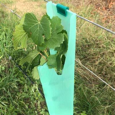 PP Tree Guard is lightweight, durable, waterproof, and easy to install. It protects young trees from wind, animals, and damage, with customizable sizes, colors, thicknesses, and designs.