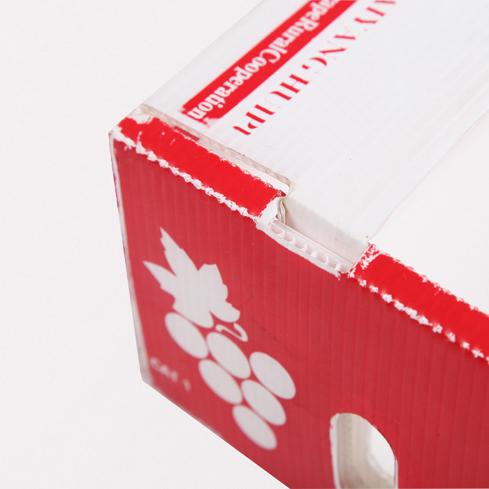 Corflute Fresh Produce Cardboard Boxes Coroplast Kiwi Fruit Packing Box