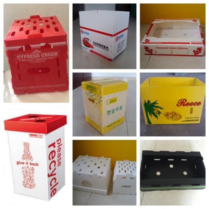 product-1-1 3mm Folding Corrugated Plastic Boxes Hollow Corrugated Polypropylene Boxes 0