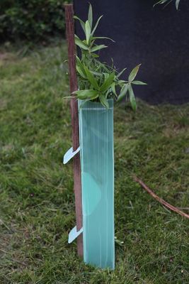 PP Corrugated Plastic Tree Guard Corflute Sustainable Tree Guards