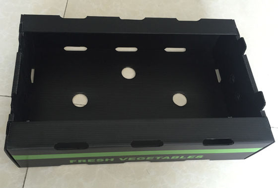 Vegetable Corrugated Plastic Packaging Coroplast Reusable Corrugated Boxes
