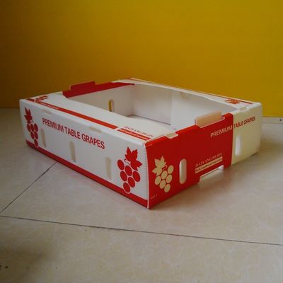 Polypropylene 5mm Corrugated Boxes For Fruit Packaging Waterproof