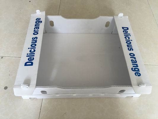 Polypropylene 5mm Corrugated Boxes For Fruit Packaging Waterproof