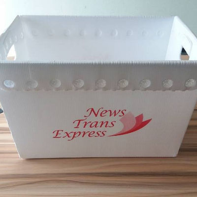 PP Postal Totes Corrugated Plastic Turnover Box 3mm Coroplast