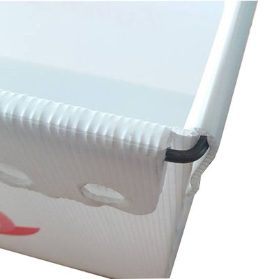 White Polypropylene Corrugated Plastic Mail Totes With Steel Strap