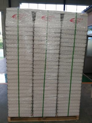 White Polypropylene Corrugated Plastic Mail Totes With Steel Strap