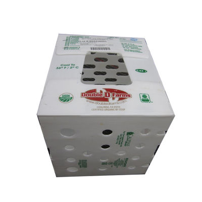 Custom Coroplast Boxes 3mm 5mm Eco Friendly Corrugated Plastic Mail Tote