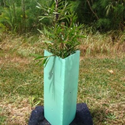 Corflute Corrugated Plastic Tree Wrap 2mm Hard Plastic Tree Guards