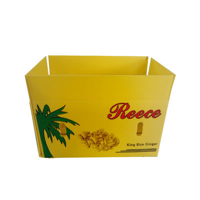 PP Corrugated Vegetable Packaging Box 5mm Vegetable Corrugated Boxes