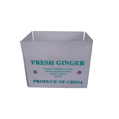 White 4mm Vegetable Packaging Box Reusable Corrugated Plastic Boxes