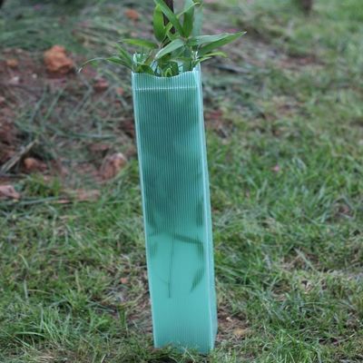 Green PP Hollow Corflute Tree Guard Biodegradable Tree Shelters