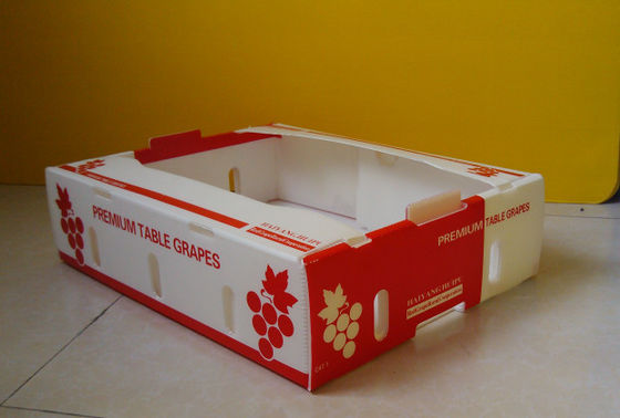 Corflute Fresh Produce Cardboard Boxes Coroplast Kiwi Fruit Packing Box