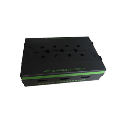 PP Corrugated Plastic Fruit Packaging Box Coroplast Reusable