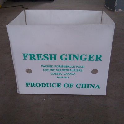 3mm Folding Corrugated Plastic Boxes Hollow Corrugated Polypropylene Boxes