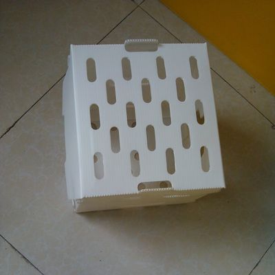 Turnover PP Corrugated Plastic Box Hollow Corflute Storage Boxes