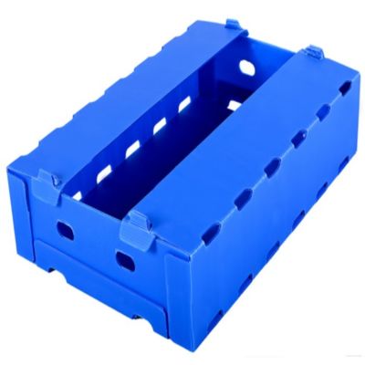 Blue Coroplast Apple Fruit Packaging Box Polypropylene Moisture Resistant