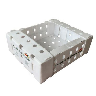 Foldable Coroplast Tomato Packaging Boxes Reusable Vegetable Packing Box