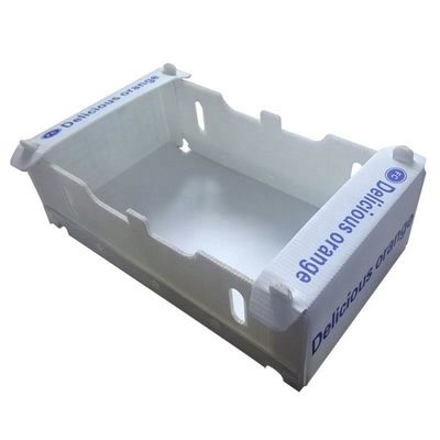Foldable Coroplast Tomato Packaging Boxes Reusable Vegetable Packing Box