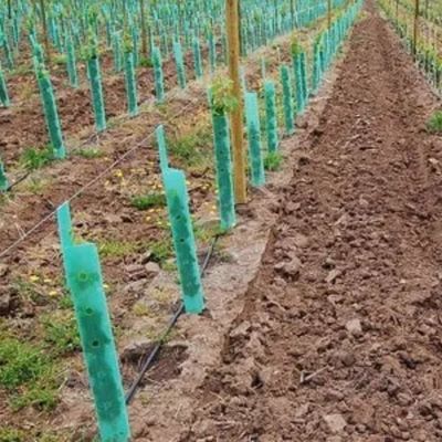 Polypropylene Plastic Tree Guard Corflute Vine Protectors Anti Impact