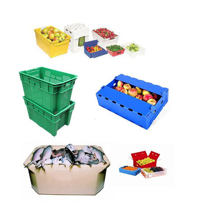 Polypropylene Fruit Packaging Box Green Coroplast Peach Packing Boxes