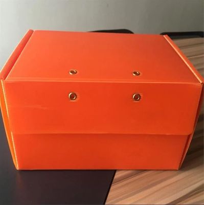Hollow Board Corflute Box Foldable Lightweight Waterproof