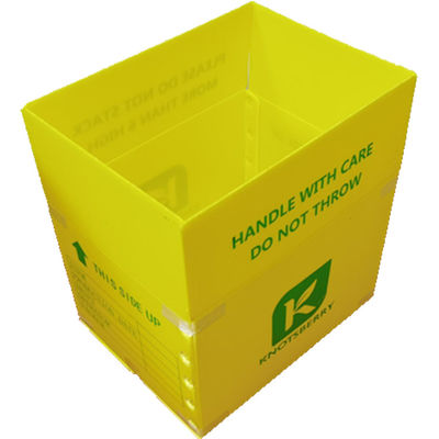 Polypropylene PP Corrugated Plastic Packing Box Lightweight Customized