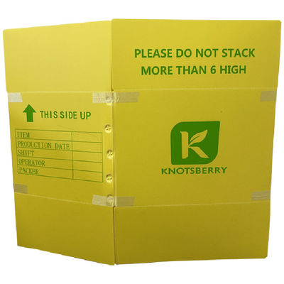 Polypropylene PP Corrugated Plastic Packing Box Lightweight Customized