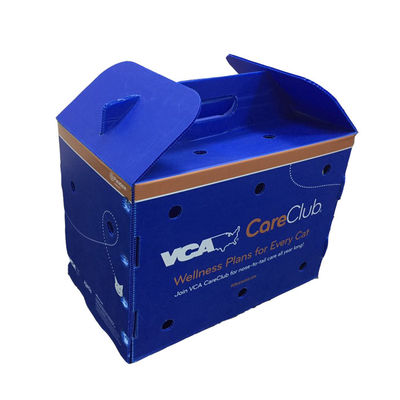 PP Corrugated Plastic Fruit Packaging Box Lightweight Corflute Storage Box