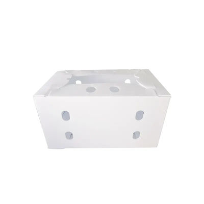 Polypropylene Corrugated Plastic Fruit Box Packing Storage Transportation