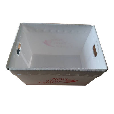 Durable PP Corrugated Plastic Box Mail Tote Lightweight Customized