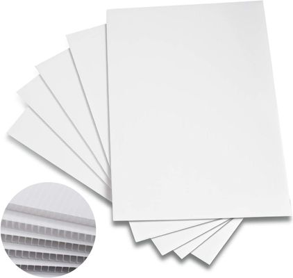 PP Corrugated Plastic Sheet Corflute Board Foldable Lightweight Customized Durable