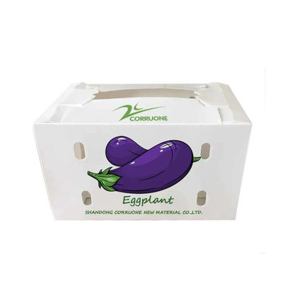 Customized Polypropylene Coroplast Vegetable Box PP Corrugated Plastic Packaging Box
