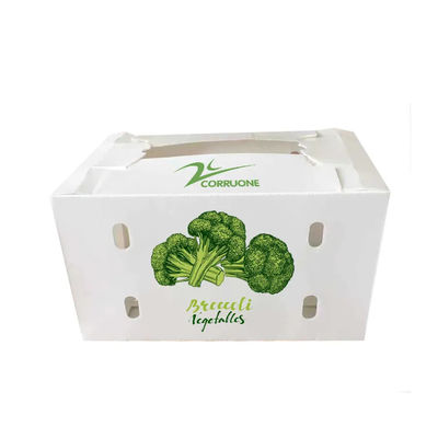 Customized Polypropylene Coroplast Vegetable Box PP Corrugated Plastic Packaging Box