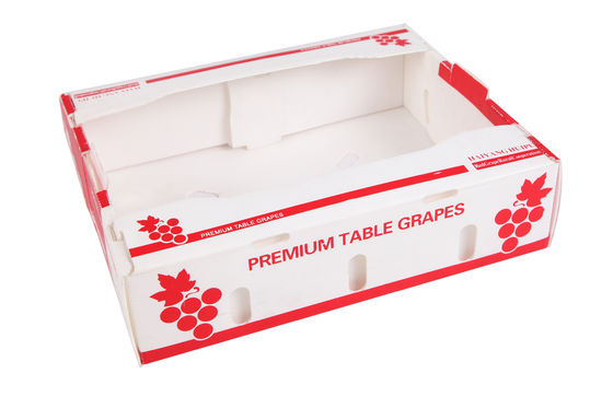 Polypropylene Vegetable Packing Box PP Corrugated Plastic Packaging Box Customized