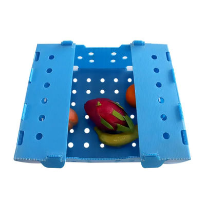 PP Corrugated Plastic Box Corflute Fruit Packaging Box Customized Recyclable