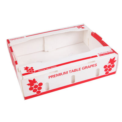 Custom size Fruit Packaging Box made of non toxic PP corrugated plastic suitable for fruit and vegetable packing needs