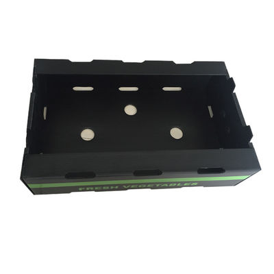 PP Corrugated Plastic Fruit Packing Box Customized Recyclable Coroplast Box