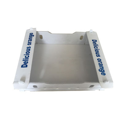 PP Corrugated Plastic Fruit Packing Box Customized Recyclable Coroplast Box