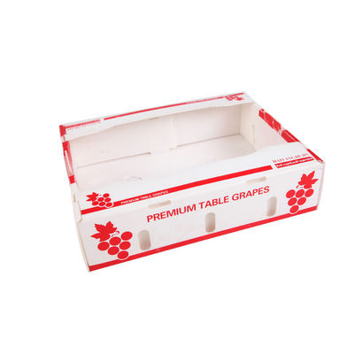 PP Corrugated Plastic Fruit Packing Box Customized Recyclable Coroplast Box