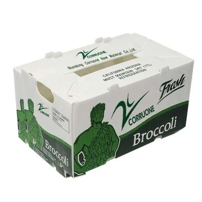 Polypropylene Vegetable Packing Box PP Corrugated Plastic Box Customized Recyclable