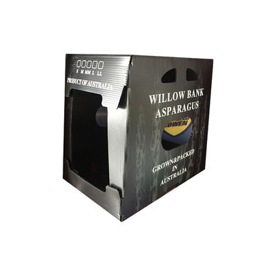 Polypropylene Vegetable Packing Box PP Corrugated Plastic Box Customized Recyclable