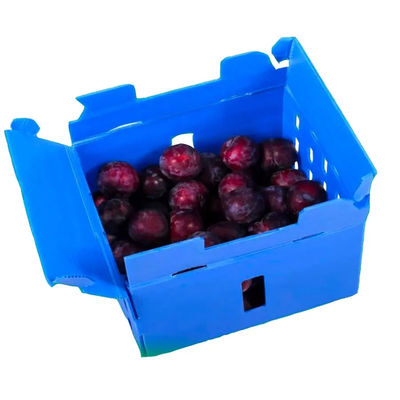 PP Corrugated Plastic Box Coroplast Fruit Packaging Box Customized Recyclable Foldable