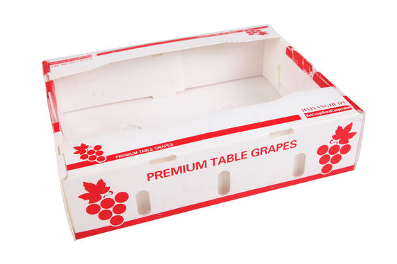 PP Corrugated Plastic Box Coroplast Fruit Packaging Box Customized Recyclable Foldable