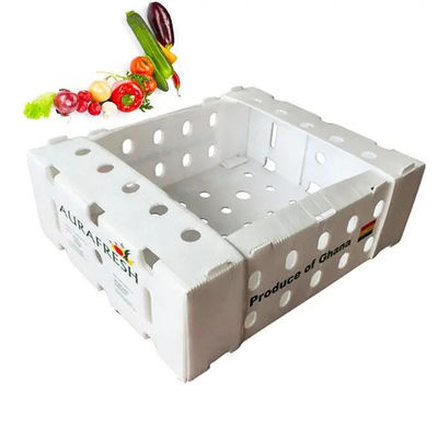 PP Corrugated Plastic Box Coroplast Fruit Packaging Box Customized Recyclable Foldable