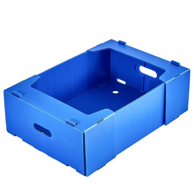 PP Corrugated Plastic Box Coroplast Fruit Packaging Box Customized Recyclable Foldable
