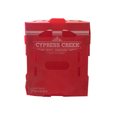 Polypropylene Vegetable Packing Box PP Corrugated Plastic Box Customized Recyclable