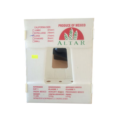 Polypropylene Vegetable Packing Box PP Corrugated Plastic Box Customized Recyclable